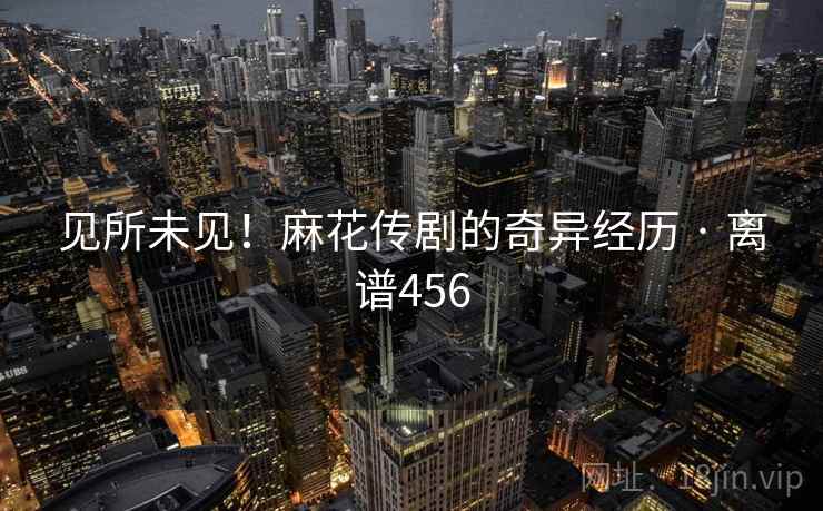 见所未见！麻花传剧的奇异经历 · 离谱456